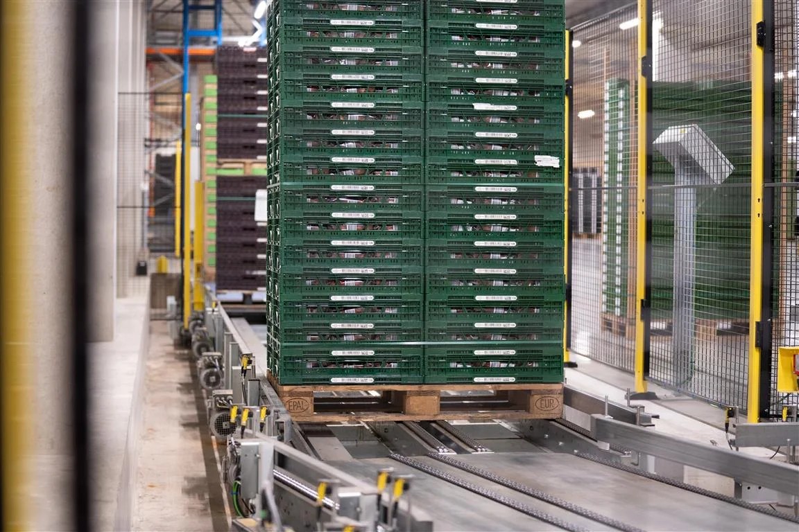 Pallet crate conveyor