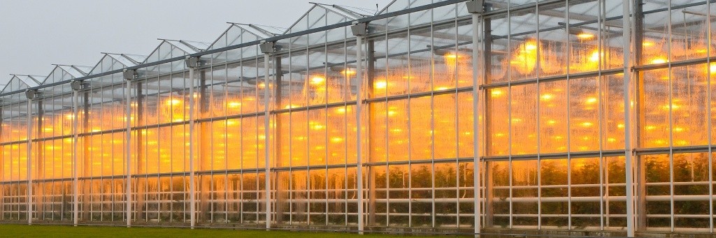 Greenhouse Complex
